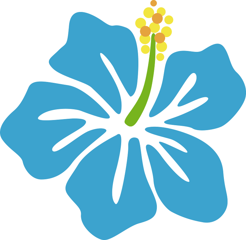 Hibiscus-kukka