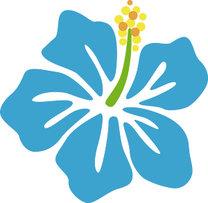 Hibiscus flower