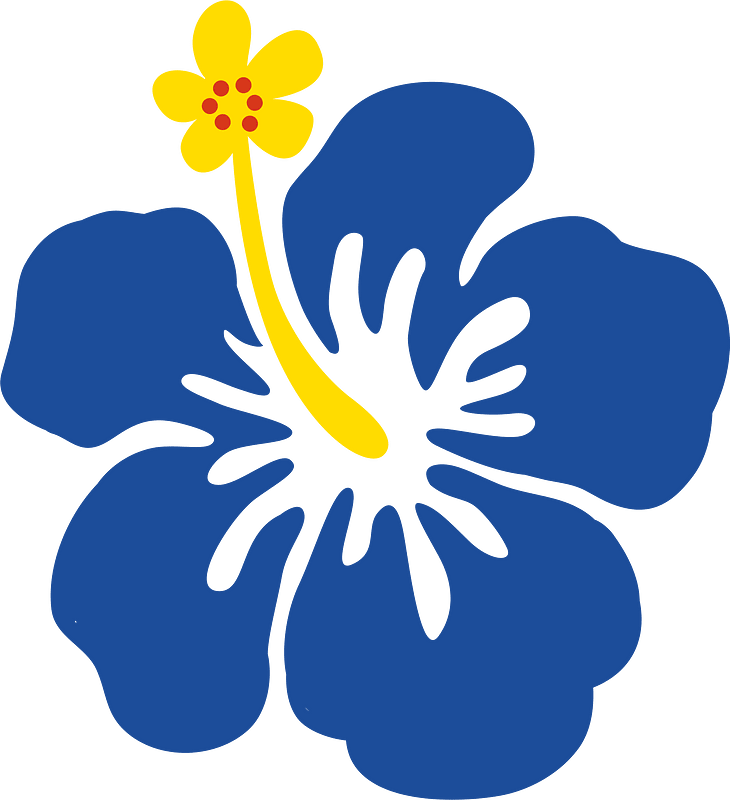 Fleur d'hibiscus