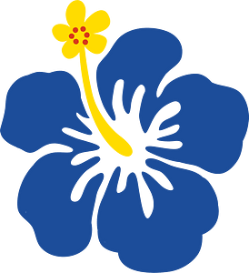 Hibiscus flower