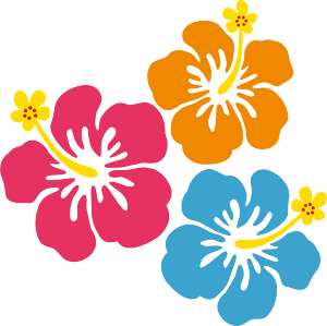 Hibiscus flowers