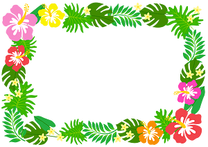 Hibiscus frame