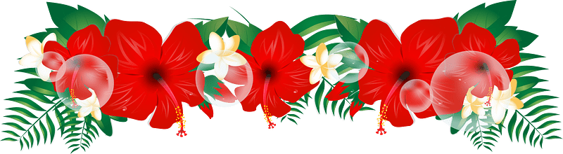 Hibiscus plumeria