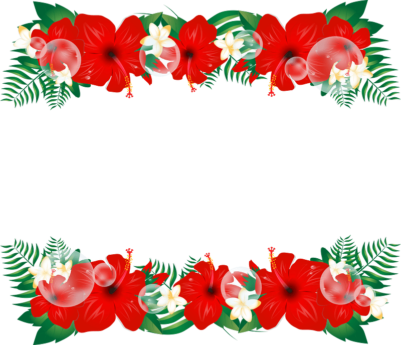 Hibiscus plumeria frame