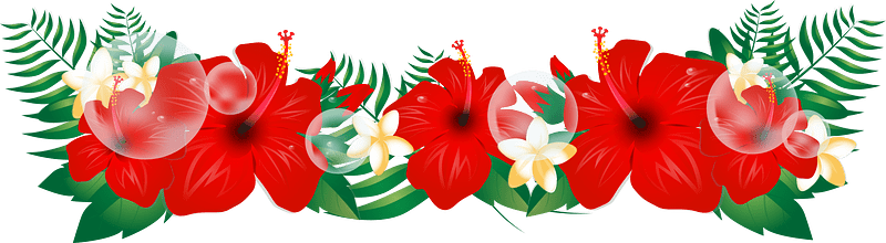 Hibiscus plumeria