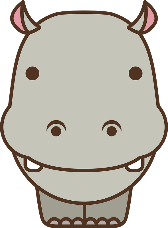 Hippopotamus animal