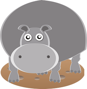 Hippopotamus