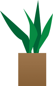 Home plant