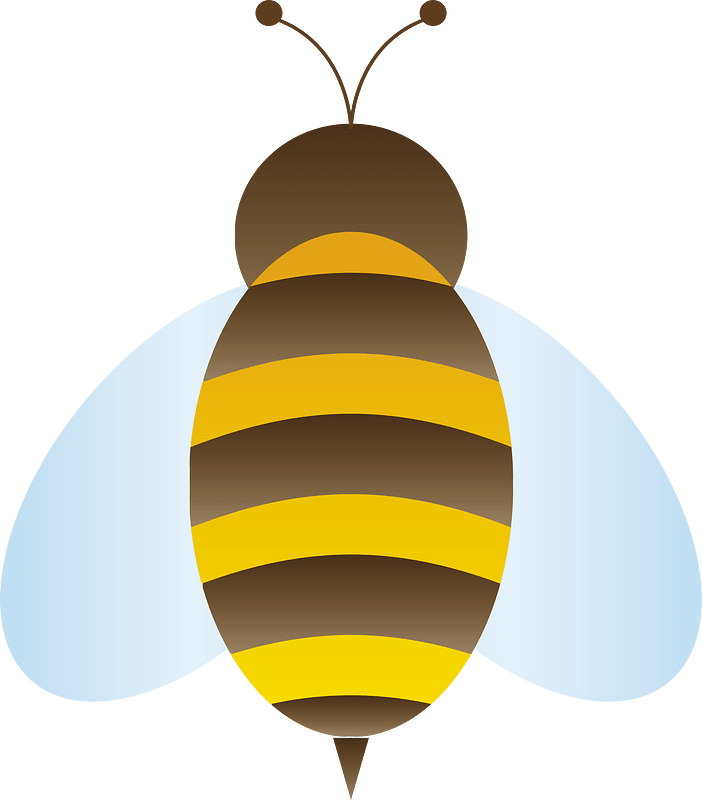 Honey bee