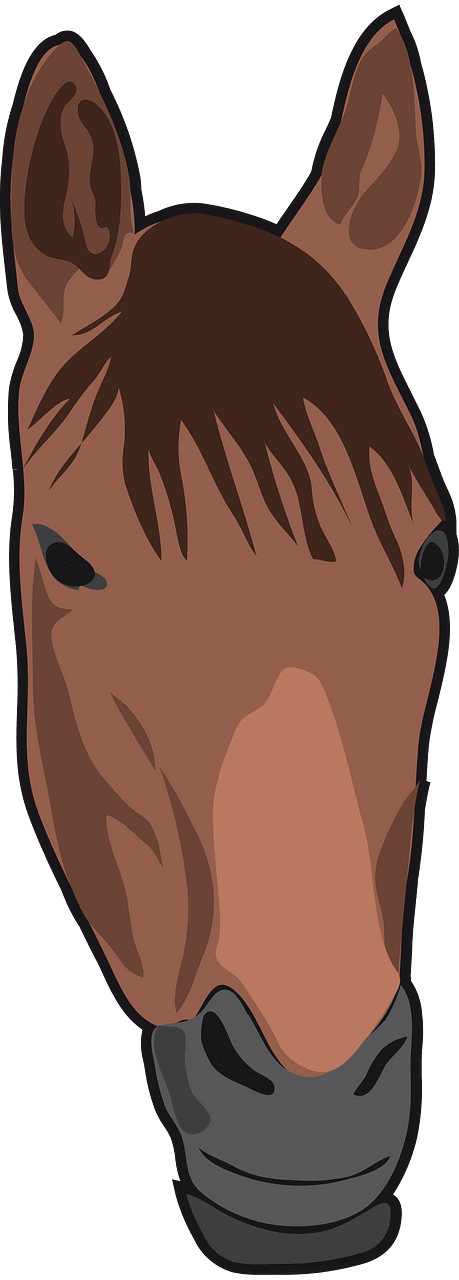Kuda