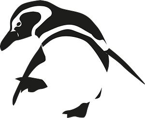 Humboldt penguin