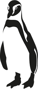 Humboldt penguin