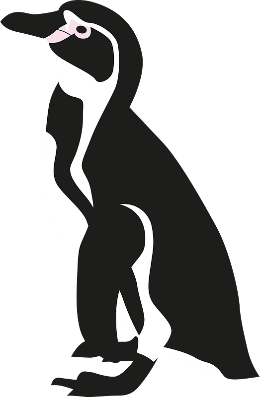 Humboldt penguin