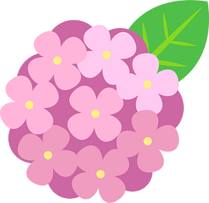 Hydrangea flower