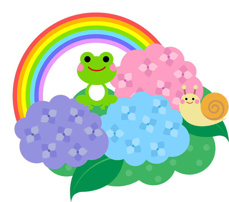 Hydrangea rainbow