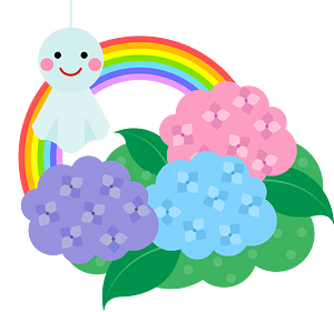 Hydrangea rainbow