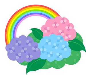 Hydrangea rainbow