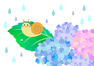 Hydrangea snail
