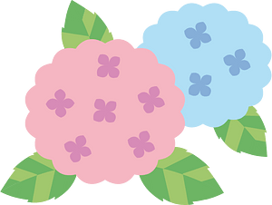 绣球花