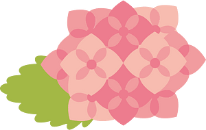 Hydrangea