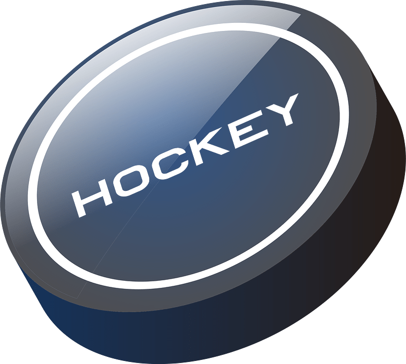 Ice hockey puck