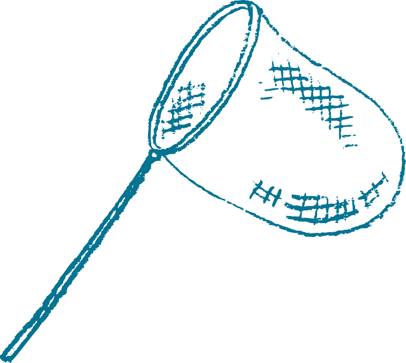 Insect net