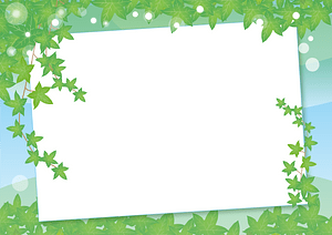 Ivy message board