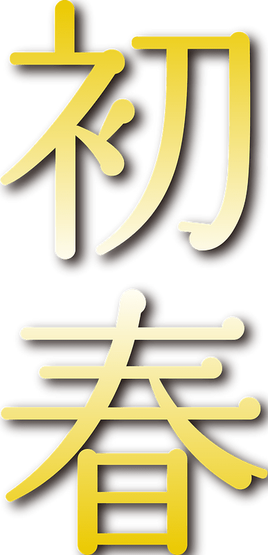 Japanese new year