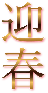 Japanese new year