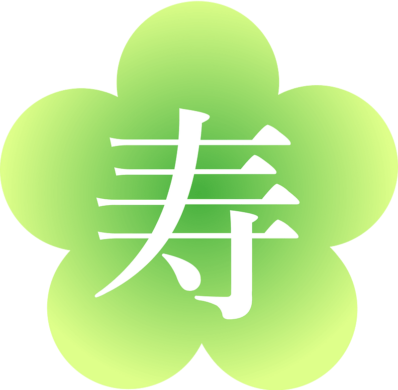 Japanese new year