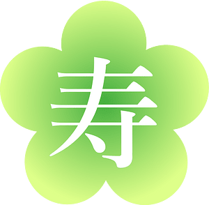 Japanese new year