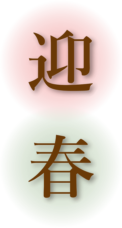 Japanese new year