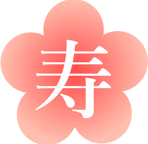 Japanese new year