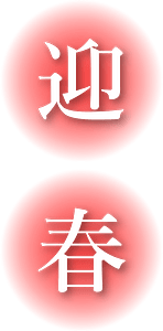 Japanese new year