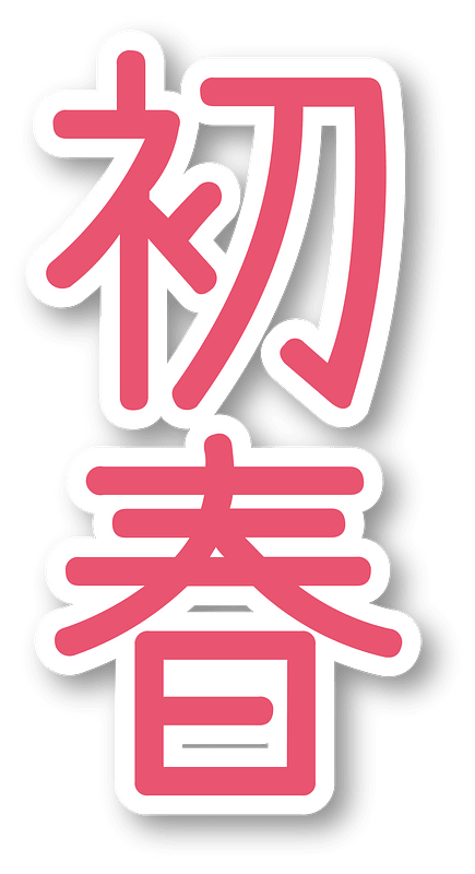 Japanese new year