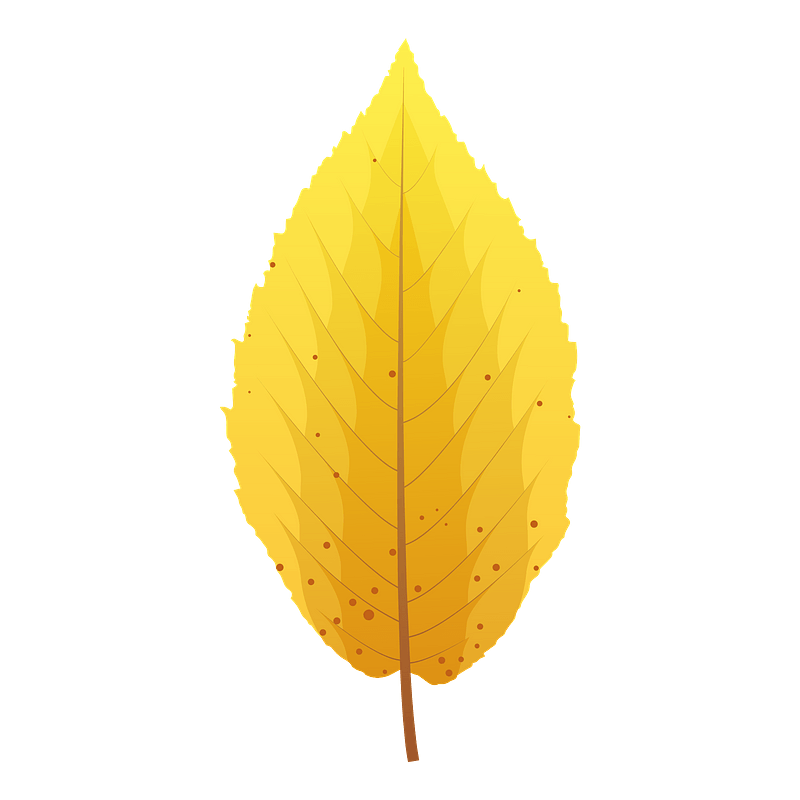 Yellow birch late autumn leaf - Free vector clipart images on creazilla.com