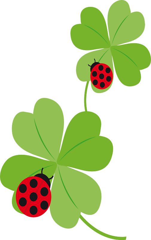 Ladybugs