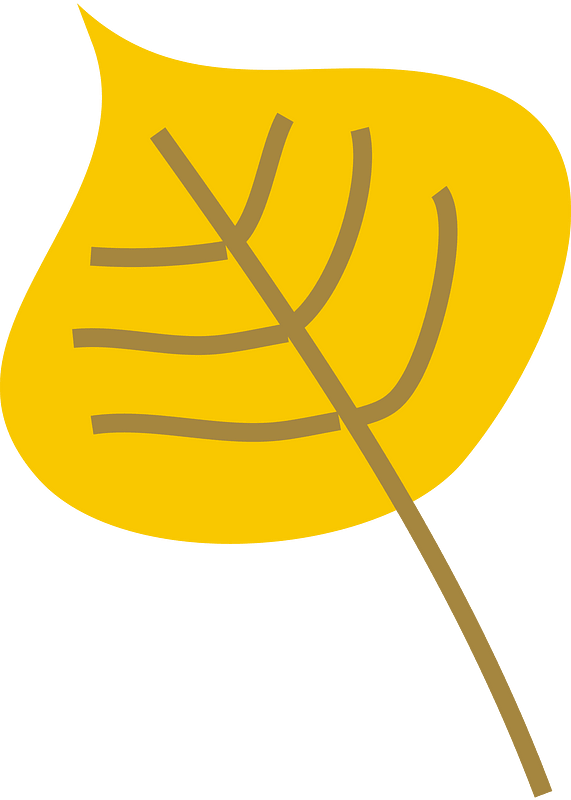 Leaf