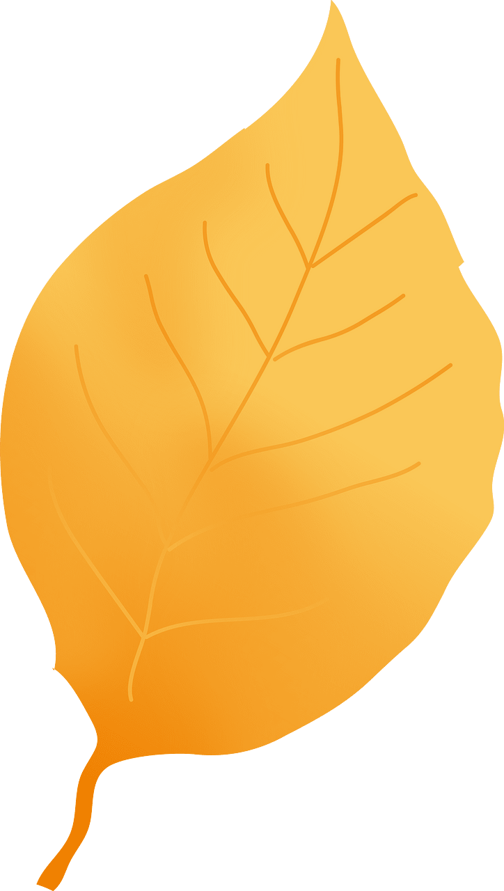Leaf
