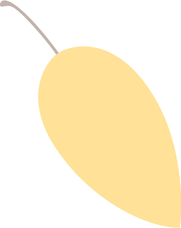 Leaf