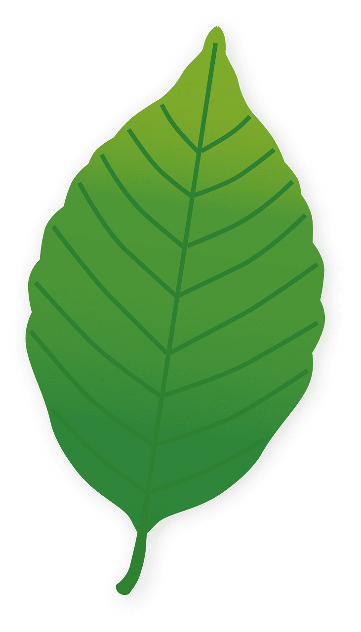 Лист