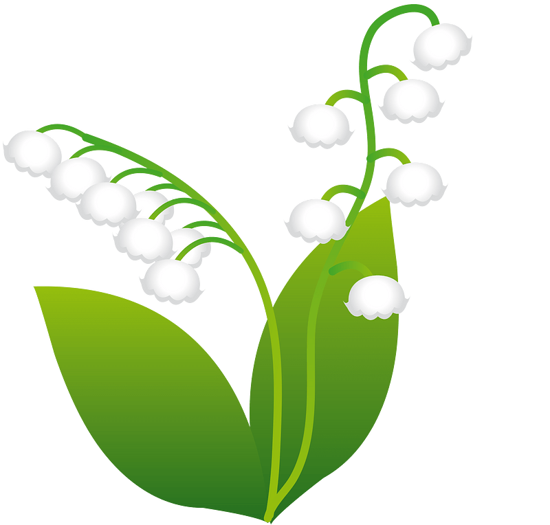 Lily of the valley