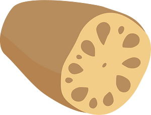 Lotus root