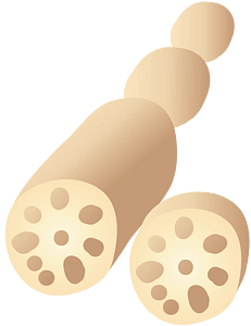 Lotus root