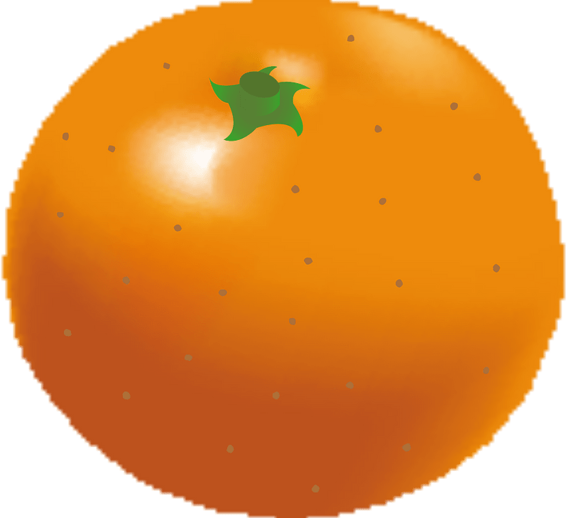 Mandarin orange