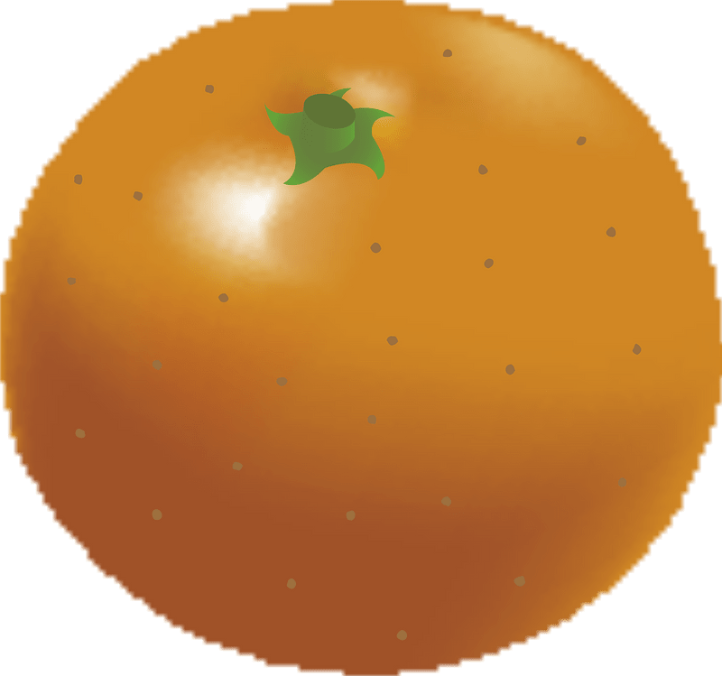 Mandarin orange