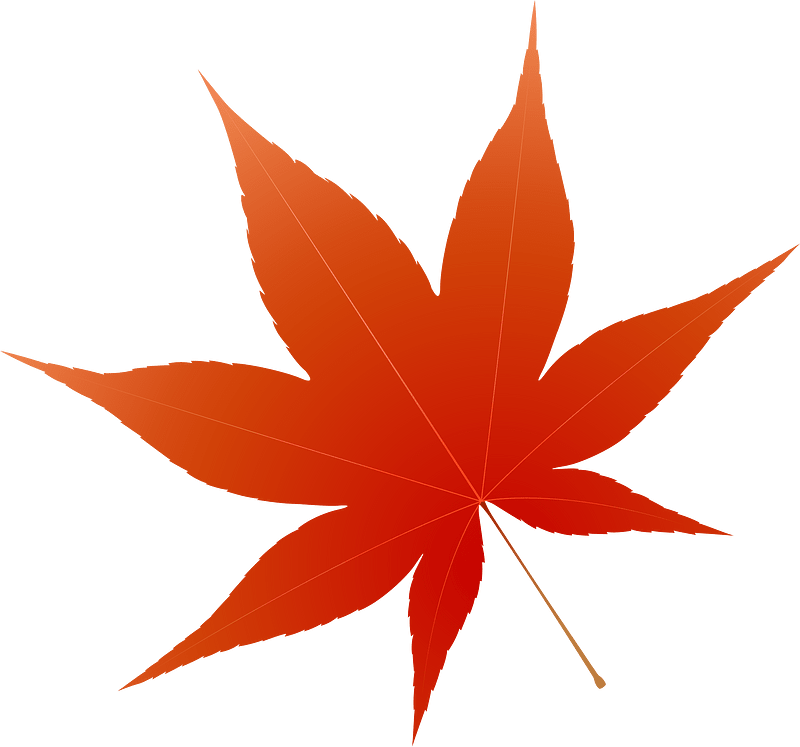 Maple leaf
