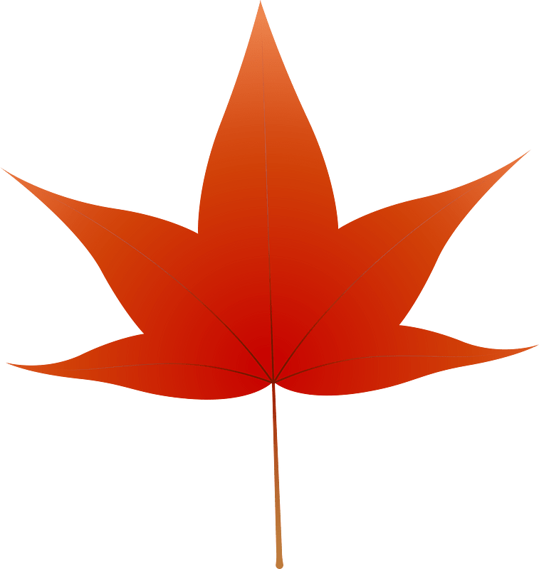 Daun maple