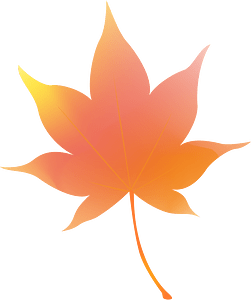 Maple leaf