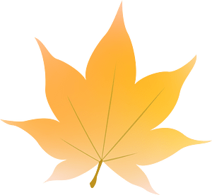 Maple leaf